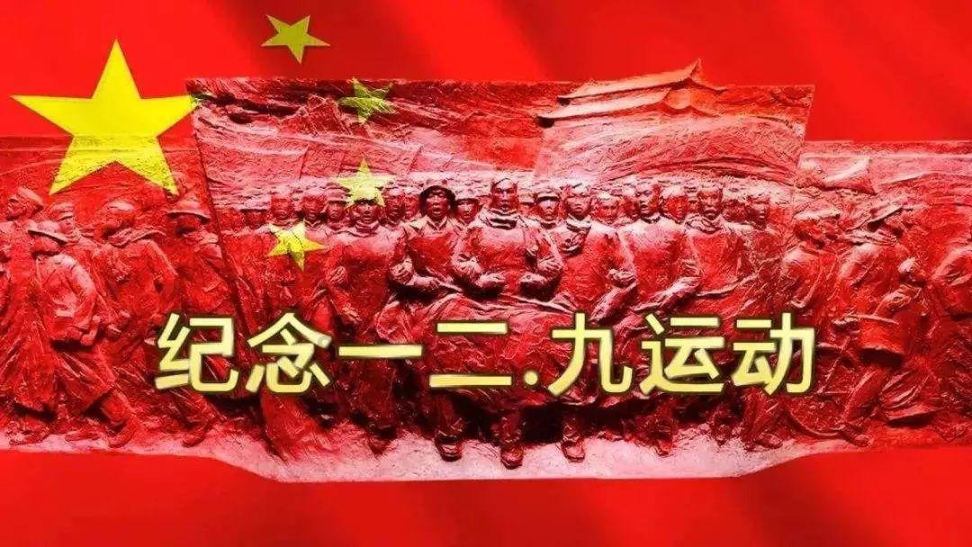 小边牧刚来新家不吃怎么办？